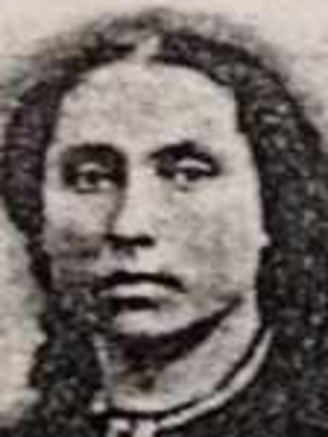 Abigail Eliza Chase (1820 - 1892) Profile